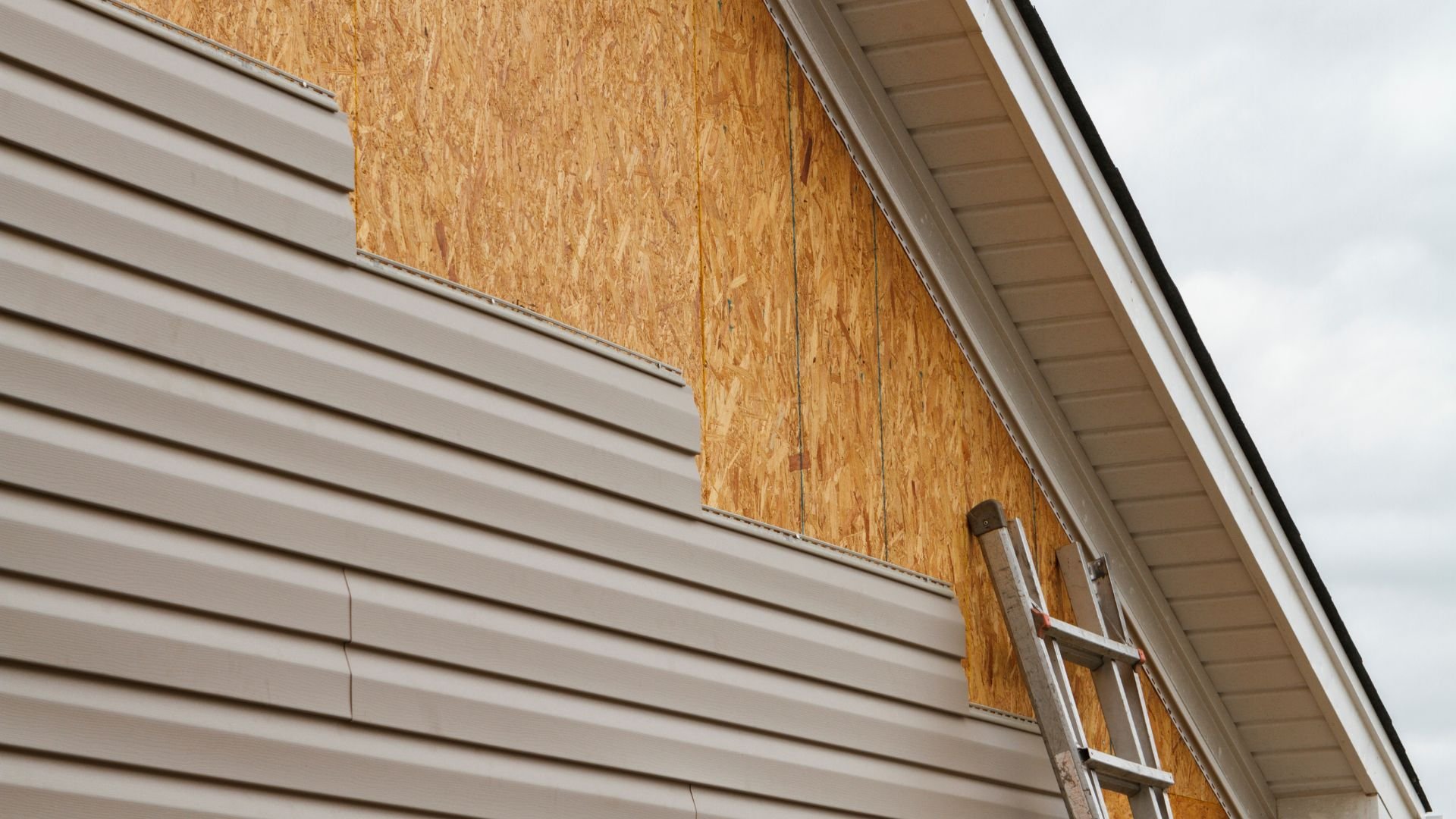 House exterior with vinyl siding and OSB sheathing, ladder propped against wall